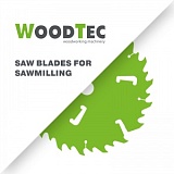 Пила дисковая Ø350 х 50 х 4,0/2,5 Z = (18 + 18) + 4 WoodTec