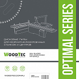 Основная пила WoodTec для форматно-раскроечных станков Ø300 х 3,2/2,2 х 30 Z96TR
