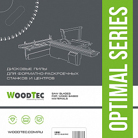 Основная пила WoodTec для форматно-раскроечных станков Ø300 х 3,2/2,2 х 30 Z96TR