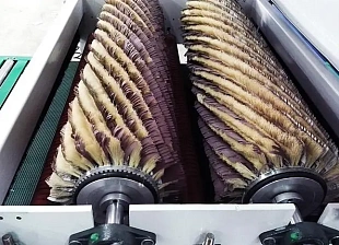 Станок щеточно-шлифовальный WoodTec Duble Brush 630
