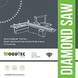Основная алмазная пила WoodTec Ø300 х 3,2 / 2,2 х 30 Z=96 Н6,4